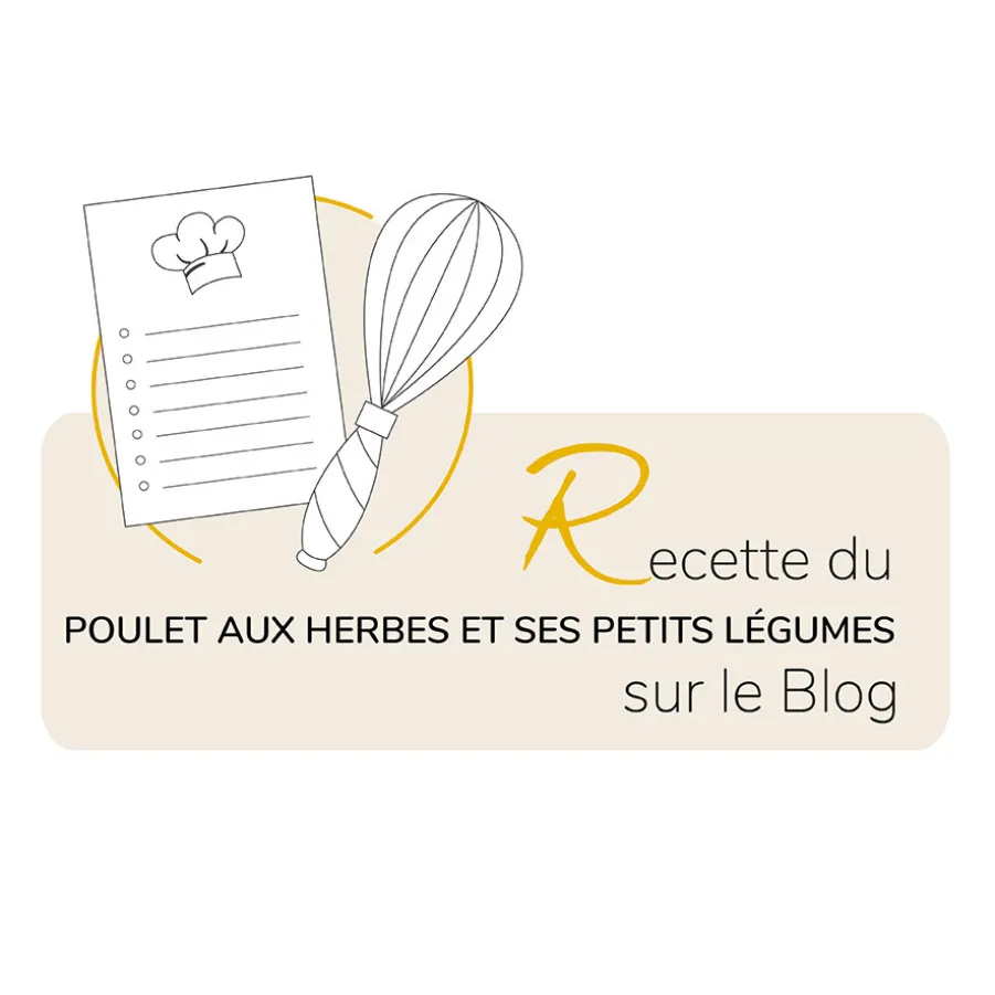 Clearance Rôtissoire saveur 2 en 1 Plats À Four|Cocottes Et Roasters